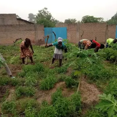 Activité pratique de production végétale